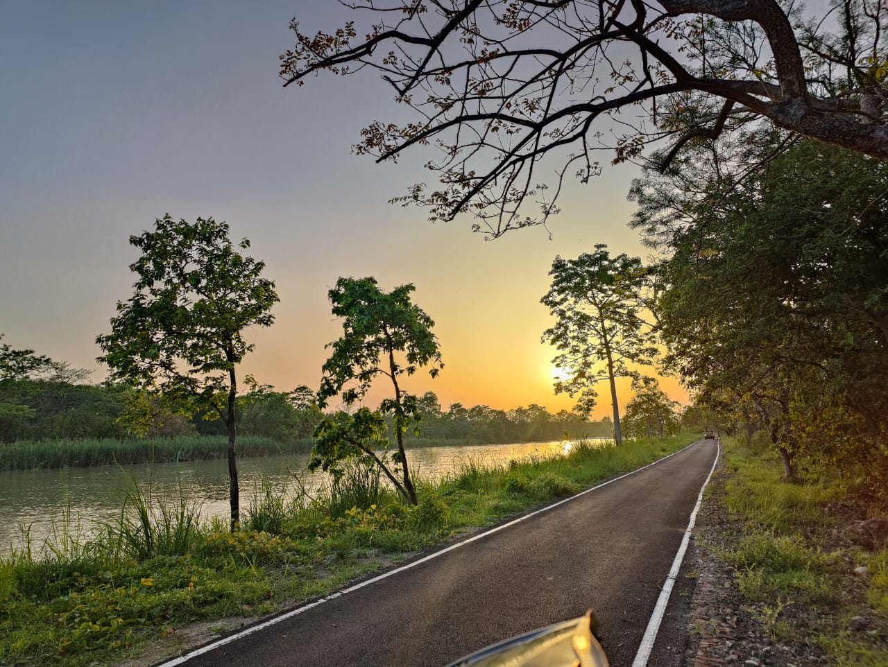 Sunset Point in Pilibhit Tiger Reserve 🌅